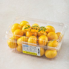 탐라황감 당도선별 10brix 감귤, 1.2kg(랜덤과), 1팩