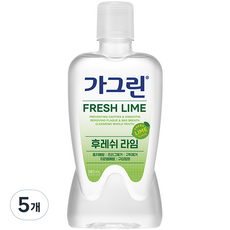 가그린 후레쉬 라임 구강청결제, 380ml, 5개