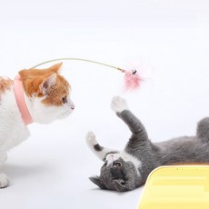 고양이 장난감 실리콘목걸이 +깃털2p 세트, 단일색상(실리콘목걸이), 랜덤발송(깃털), 1세트