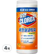 크로락스 세정살균티슈 오렌지 퓨전, 4개