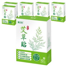 健之堂 强效艾草足貼，天然成分，促進新陳代謝，緩解疲勞，10片裝, 10片, 6盒
