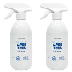 더블유제약 소독용 에탄올 스프레이, 2개, 500ml