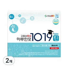 고철남홍삼 하루한포 1019틴 홍삼 스틱, 300ml, 2개