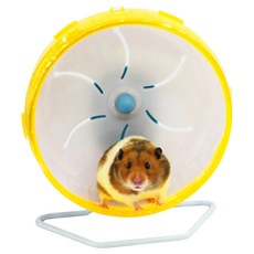 55쳇바퀴