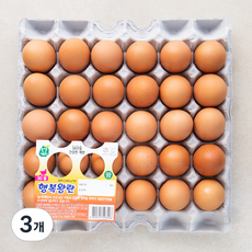 녹색계란 왕란, 30구, 3개
