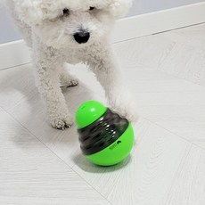 강아지게이트볼