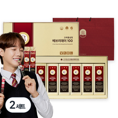 풍년보감 6년근 고려홍삼정 에브리데이100 60포 세트 + 쇼핑백, 900g, 2세트 900g, 2개