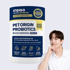 INDIGO 펫오리진 포 캣 영양제, 60g, 1개, 장건강/유산균 60g, 1개, 장건강/유산균