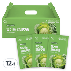 황금이네 농부가 만드는 양배추즙 100ml 30포, 3L, 12개