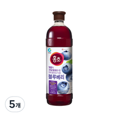 홍초 블루베리, 1.5L, 5개