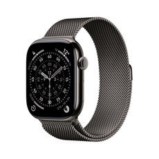 Apple 2025 애플워치 시리즈 11, 슬레이트, 46mm, GPS+Cellular, 티타늄,슬레이트/슬레이트 밀레니즈 루프, S/M