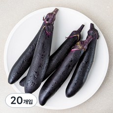 국내산 가지, 20개