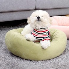 몰리강아지이불