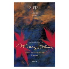 기러기:메리 올리버 시선집, 마음산책, 메리 올리버 마음산책, 메리 올리버