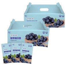 황금이네 블루베리즙, 70ml, 60개 2100ml, 2박스