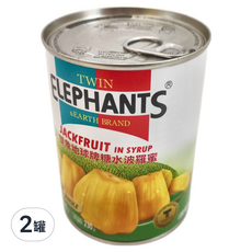 TWIN ELEPHANTS 雙象地球牌 糖水波羅蜜, 565公克, 無添加防腐劑, 565g, 2罐