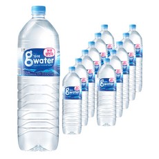 가야G워터 생수, 12개, 2L
