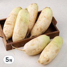 국내산 무청제거 다발무, 5kg, 5개