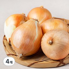 국내산 친환경 양파, 800g, 4개