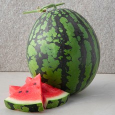 곰곰 유명산지 11.5 brix 수박, 5kg 미만, 1개