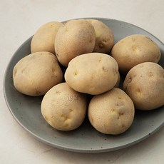 유기농 햇감자, 1kg, 1봉