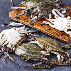 피시원 신진도 산지직송 살이 꽉찬 봄 숫꽃게, 2kg(6~10미), 1박스