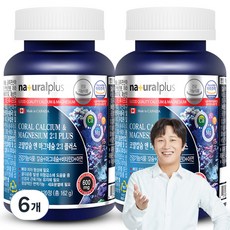 내츄럴플러스 코랄칼슘 앤 마그네슘 2:1 플러스, 120정, 6개