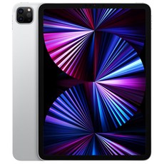 Apple 아이패드 프로 11 3세대 M1칩, Wi-Fi, 256GB, 실버