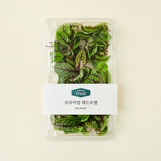프리미엄 레드쏘렐, 10g, 1개 10g, 1개