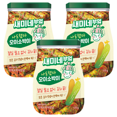 새미네부엌 오이소박이 양념, 120g, 3개