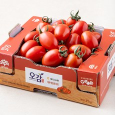 굿뜨래 충남 부여 대추방울토마토, 1kg, 1박스