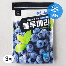 미국산 냉동 블루베리, 500g, 3개