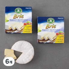 샴피뇽 브리, 125g, 6개