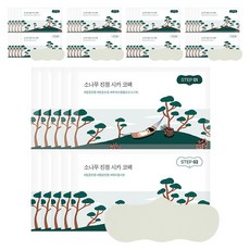 라운드랩 소나무 진정 시카 코팩, 5개입, 5개