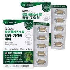 유한메디카 징코 플러스 엔 탑 혈행 기억력 케어 30g, 60정, 2개