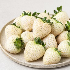 화이트 딸기, 500g, 1팩
