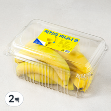 치키타 코스타리카산 바나나, 1.5kg, 2개