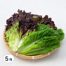 친환경 적상추+청상추, 200g, 5개