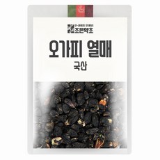 조은약초 오가피 열매, 300g, 1개