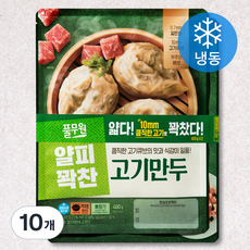 풀무원 얇은피 꽉찬속 고기만두 (냉동), 400g, 10개