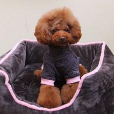 라바점핑카