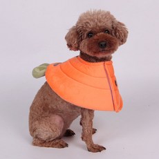 DING DONG PET 狗狗可愛大象防咬頸圈, 橘色