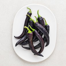 가지색 고추, 200g, 1개