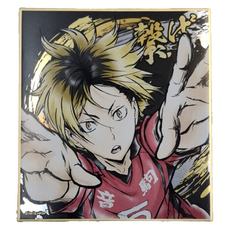 Haikyu 排球少年!! 激鬥!!閃亮色紙 孤爪研磨 (再販), 1色, 1個