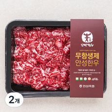 안성한우 무항생제 인증 1++등급(7) 양지 세절 국거리용 (냉장), 300g, 2개