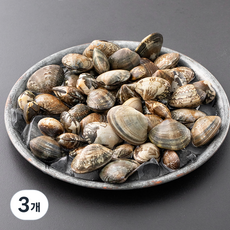 바다림 서해안 산지직송 생물 갯벌 참바지락 (냉장) 500g 3개