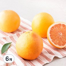 만나다 미국산 자몽, 1kg, 6개
