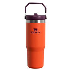 STANLEY 經典系列 IceFlow 手提吸管杯, 熱帶橘, 880ml, 1個