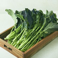 국내산 홍갓, 2kg, 1개