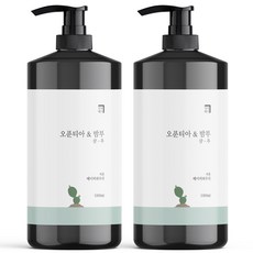 살림백서 오푼티아&밤부 샴푸 베이비파우더향, 1000ml, 2개